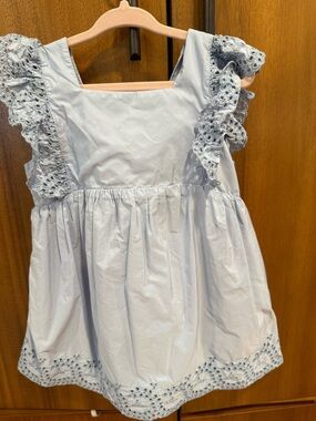 Zara Pale Blue Eyelet Ruffle Dress for Kids